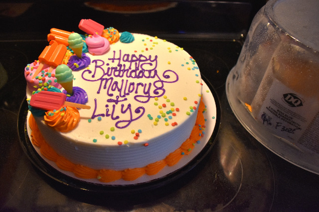 Album thumbnail for Lily and Mallory's birthday sleepover